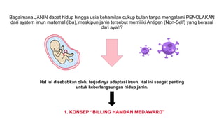 Bagaimana JANIN dapat hidup hingga usia kehamilan cukup bulan tanpa mengalami PENOLAKAN
dari system imun maternal (ibu), meskipun janin tersebut memiliki Antigen (Non-Self) yang berasal
dari ayah?
1. KONSEP “BILLING HAMDAN MEDAWARD”
Hal ini disebabkan oleh, terjadinya adaptasi imun. Hal ini sangat penting
untuk keberlangsungan hidup janin.
 