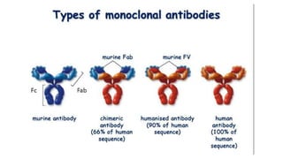 Monoclonal And Polyclonal Antibodies | PPTX