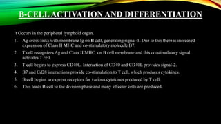 Activation of T and B Cells | PPTX