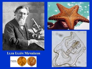 Ілля Ілліч Мечніков
 