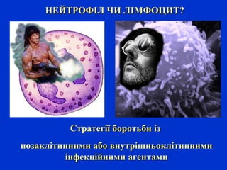 Стратегії боротьби ізСтратегії боротьби із
позаклітинними або внутрішньоклітиннимипозаклітинними або внутрішньоклітинними
інфекційними агентамиінфекційними агентами
НЕЙТРОФІЛ ЧИ ЛІМФОЦИТ?НЕЙТРОФІЛ ЧИ ЛІМФОЦИТ?
 