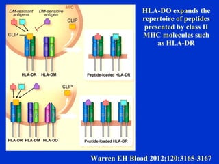 HLA-DO expands the
repertoire of peptides
presented by class II
MHC molecules such
as HLA-DR
Warren EH Blood 2012;120:3165-3167
 