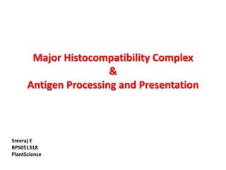 Major Histocompatibility Complex
&
Antigen Processing and Presentation
Sreeraj E
BPS051318
PlantScience
 