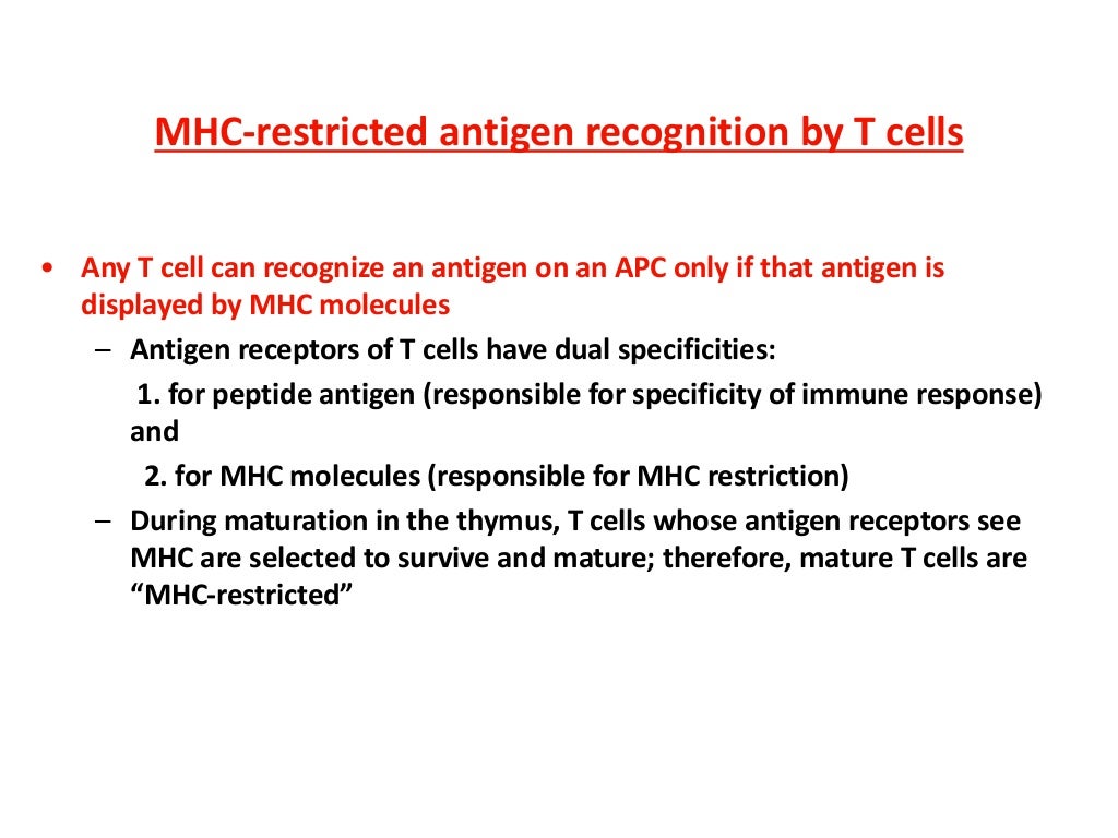 Major complex & Antigen Presentation and Processing