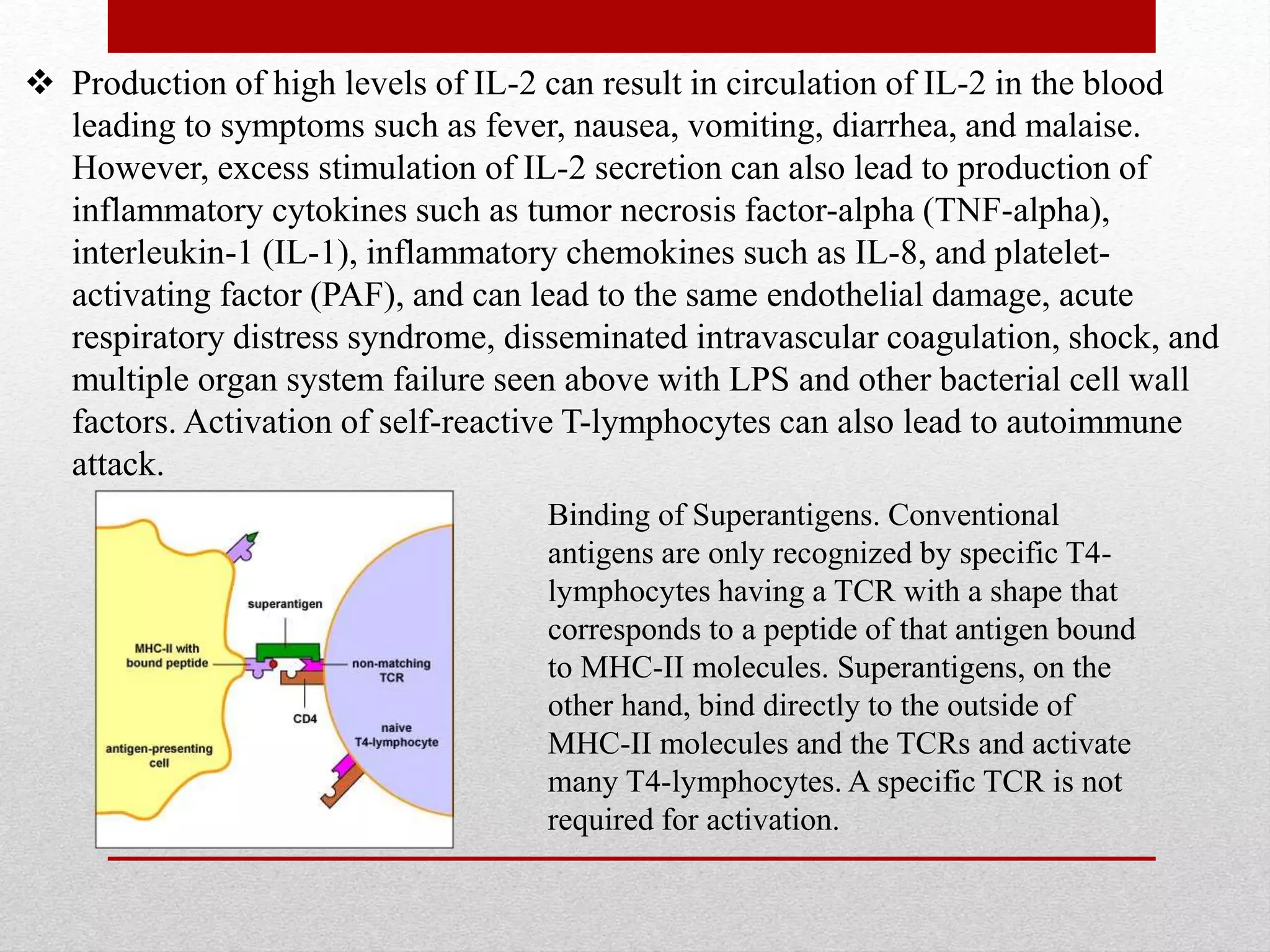  Production of high levels of IL-2 can result in circulation of IL-2 in the blood
leading to symptoms such as fever, nausea, vomiting, diarrhea, and malaise.
However, excess stimulation of IL-2 secretion can also lead to production of
inflammatory cytokines such as tumor necrosis factor-alpha (TNF-alpha),
interleukin-1 (IL-1), inflammatory chemokines such as IL-8, and platelet-
activating factor (PAF), and can lead to the same endothelial damage, acute
respiratory distress syndrome, disseminated intravascular coagulation, shock, and
multiple organ system failure seen above with LPS and other bacterial cell wall
factors. Activation of self-reactive T-lymphocytes can also lead to autoimmune
attack.
Binding of Superantigens. Conventional
antigens are only recognized by specific T4-
lymphocytes having a TCR with a shape that
corresponds to a peptide of that antigen bound
to MHC-II molecules. Superantigens, on the
other hand, bind directly to the outside of
MHC-II molecules and the TCRs and activate
many T4-lymphocytes. A specific TCR is not
required for activation.
 
