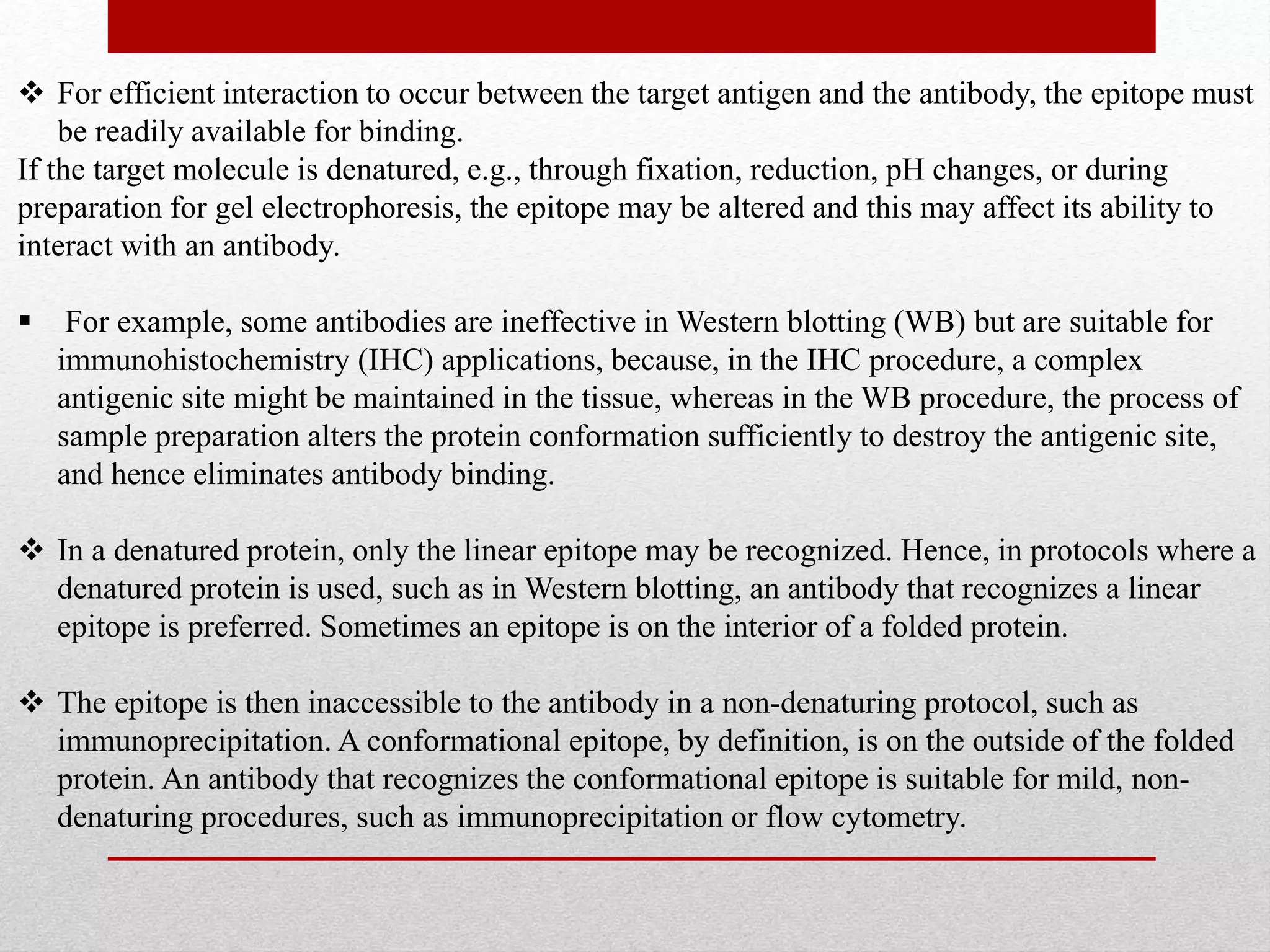  For efficient interaction to occur between the target antigen and the antibody, the epitope must
be readily available for binding.
If the target molecule is denatured, e.g., through fixation, reduction, pH changes, or during
preparation for gel electrophoresis, the epitope may be altered and this may affect its ability to
interact with an antibody.
 For example, some antibodies are ineffective in Western blotting (WB) but are suitable for
immunohistochemistry (IHC) applications, because, in the IHC procedure, a complex
antigenic site might be maintained in the tissue, whereas in the WB procedure, the process of
sample preparation alters the protein conformation sufficiently to destroy the antigenic site,
and hence eliminates antibody binding.
 In a denatured protein, only the linear epitope may be recognized. Hence, in protocols where a
denatured protein is used, such as in Western blotting, an antibody that recognizes a linear
epitope is preferred. Sometimes an epitope is on the interior of a folded protein.
 The epitope is then inaccessible to the antibody in a non-denaturing protocol, such as
immunoprecipitation. A conformational epitope, by definition, is on the outside of the folded
protein. An antibody that recognizes the conformational epitope is suitable for mild, non-
denaturing procedures, such as immunoprecipitation or flow cytometry.
 