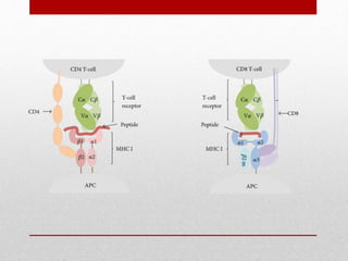 T AND B CELL EPITOPE MAPPING.pptx