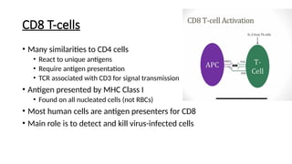 IMMUNOLOGY (The Basic Concept) A SLIDE IN CSH | PPTX