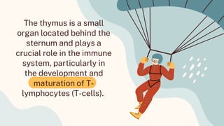 Immunology Thymus Hormones presentation. | PDF