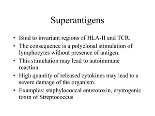 Superantigens Bind to invariant regions of HLA-II and TCR. The consequence is a polyclonal stimulation of lymphocytes without pr e sence of antigen. This stimulation may lead to autoimmune reaction. High quantity of released cytokines may lead to a severe damage of the organism. Examples: staphylococcal enterotoxin, erytrogenic toxin of Streptococcus  toxin  streptokoků 