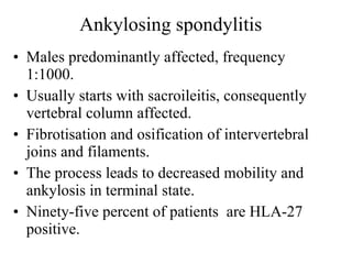 Ankylosing spondylitis   Males predominantly affected, frequency 1:1000. Usually starts with sacroileitis, consequently  vertebral column affected. Fibrotisation and osification of inte r vertebral joins and filaments. The process leads to decreased mobility and ankylosis in terminal state. Ninety-five percent of patients  are HLA-27 positive. 