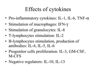 Effects of cytokines Pro-inflammatory cytokines: IL-1, IL-6, TNF-  Stimulation of macrophages: IFN-  Stimulation of granulocytes: IL-8 T-lymphocytes stimulation: IL-2 B-lymphocytes stimulation, production of antibodies: IL-4, IL-5, IL-6 Progenitor cells proliferation: IL-3, GM-CSF, M-CFS Negative regulators: IL-10, IL-13 