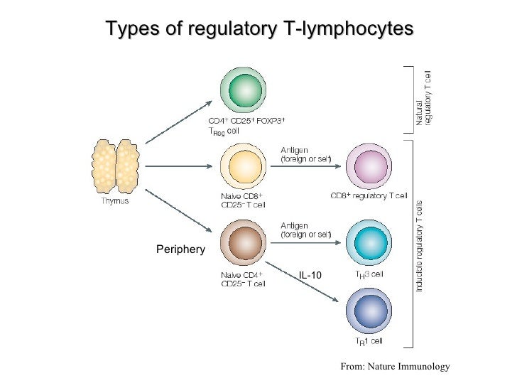 Immunology V T Ly Immunology V T Ly