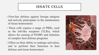 INNATE CELLS
➢First-line defense against foreign antigens
and actively participates in the maintenance
of tissue homeostasis
➢These cells express a range of PRRs, such
as the toll-like receptors (TLRs), which
allows for sensing of PAMPs and initiation
of complex host defense programs
➢Effect on their ability to undergo activation,
and to perform their functions in host
defense and tissue homeostasis
 
