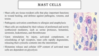 MAST CELLS
➢Mast cells are tissue-resident cells that play important functions
in wound healing, and defense against pathogens, venoms, and
toxins
➢Pathogenic activation contributes to allergies and anaphylaxis
➢Mast cells are mediated by their release of preformed and newly
synthesized mediators, such as serine proteases, histamine,
serotonin, leukotrienes, and thromboxane
➢Upon stimulation by injury, activated complement, or
crosslinking of IgE receptors, mast cells rapidly degranulate,
releasing their cytosolic contents into the interstitium
➢Histamine release and cellular ATP content of activated mast
cells are dependent on glycolysis
 