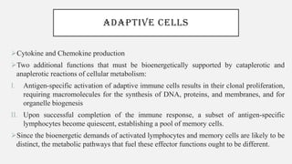 ADAPTIVE CELLS
➢Cytokine and Chemokine production
➢Two additional functions that must be bioenergetically supported by cataplerotic and
anaplerotic reactions of cellular metabolism:
I. Antigen-specific activation of adaptive immune cells results in their clonal proliferation,
requiring macromolecules for the synthesis of DNA, proteins, and membranes, and for
organelle biogenesis
II. Upon successful completion of the immune response, a subset of antigen-specific
lymphocytes become quiescent, establishing a pool of memory cells.
➢Since the bioenergetic demands of activated lymphocytes and memory cells are likely to be
distinct, the metabolic pathways that fuel these effector functions ought to be different.
 
