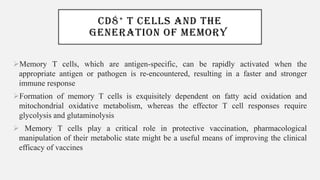 CD8+ T CELLS AND THE
GENERATION OF MEMORY
➢Memory T cells, which are antigen-specific, can be rapidly activated when the
appropriate antigen or pathogen is re-encountered, resulting in a faster and stronger
immune response
➢Formation of memory T cells is exquisitely dependent on fatty acid oxidation and
mitochondrial oxidative metabolism, whereas the effector T cell responses require
glycolysis and glutaminolysis
➢ Memory T cells play a critical role in protective vaccination, pharmacological
manipulation of their metabolic state might be a useful means of improving the clinical
efficacy of vaccines
 