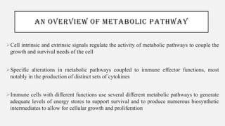 AN OVERVIEW OF METABOLIC PATHWAY
➢Cell intrinsic and extrinsic signals regulate the activity of metabolic pathways to couple the
growth and survival needs of the cell
➢Specific alterations in metabolic pathways coupled to immune effector functions, most
notably in the production of distinct sets of cytokines
➢Immune cells with different functions use several different metabolic pathways to generate
adequate levels of energy stores to support survival and to produce numerous biosynthetic
intermediates to allow for cellular growth and proliferation
 