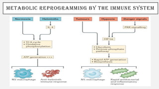 METABOLIC REPROGRAMMING BY THE IMMUNE SYSTEM
 