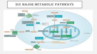 SIX MAJOR METABOLIC PATHWAYS
 