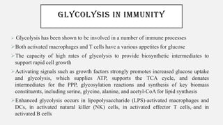 GLYCOLYSIS IN IMMUNITY
➢ Glycolysis has been shown to be involved in a number of immune processes
➢Both activated macrophages and T cells have a various appetites for glucose
➢The capacity of high rates of glycolysis to provide biosynthetic intermediates to
support rapid cell growth
➢Activating signals such as growth factors strongly promotes increased glucose uptake
and glycolysis, which supplies ATP, supports the TCA cycle, and donates
intermediates for the PPP, glycosylation reactions and synthesis of key biomass
constituents, including serine, glycine, alanine, and acetyl-CoA for lipid synthesis
➢Enhanced glycolysis occurs in lipopolysaccharide (LPS)-activated macrophages and
DCs, in activated natural killer (NK) cells, in activated effector T cells, and in
activated B cells
 
