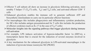 ➢Effector T cell subsets all show an increase in glycolysis following activation, most
notably T helper 17 (TH17) cells, TH1 and TH2 cells, and activated effector CD8+ T
cells
➢Enhanced glycolysis enables the immune cell to generate sufficient ATP and
biosynthetic intermediates to carry out its particular effector functions
➢For macrophages this includes phagocytosis and inflammatory cytokine production,
for DCs this includes antigen presentation and for T cells this includes the production
of effector cytokines (such as IL-17 in the case of TH17 cells)
➢Molecular insights into the signaling pathways that trigger glycolysis during immune
cell activation
➢For example, LPS induces activation of hypoxia-inducible factor 1α (HIF1α), a
transcription factor that is crucial for the induction of several enzymes involved in
glycolysis
➢A key mechanism for the enhanced glycolysis in LPS-activated macrophages is the
induction of pyruvate kinase isoenzyme M2 (PKM2)
 
