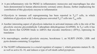 ➢ A pro-inflammatory role for PKM2 in inflammatory monocytes and macrophages has also
been demonstrated in human atherosclerotic coronary artery disease, further emphasizing the
contribution of this glycolytic enzyme to inflammation
➢Glycolysis in immune cell reprogramming has been reported in TH17 cells, in which
inhibition of glycolysis with 2-deoxyglucose converted TH17 cells into Treg cells
➢Another interesting aspect of glycolysis induction in activated immune cells is the role of the
glycolytic enzyme glyceraldehyde 3-phosphate dehydrogenase (GAPDH). In TH1 cells it has
been shown that GAPDH binds to mRNA that encodes interferon-γ (IFNγ), repressing its
translation
➢In macrophages, another glycolytic enzyme, hexokinase 1, an NLRP3 (NOD-, LRR- and
pyrin domain-containing 3) regulator.
➢The NLRP3 inflammasome is a crucial regulator of caspase 1, which generates mature IL-1β,
as well as active IL-18, and induces a type of cell death called pyroptosis.
 