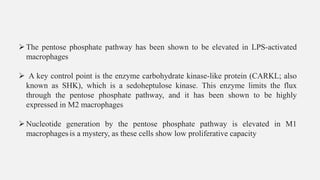 ➢The pentose phosphate pathway has been shown to be elevated in LPS-activated
macrophages
➢ A key control point is the enzyme carbohydrate kinase-like protein (CARKL; also
known as SHK), which is a sedoheptulose kinase. This enzyme limits the flux
through the pentose phosphate pathway, and it has been shown to be highly
expressed in M2 macrophages
➢Nucleotide generation by the pentose phosphate pathway is elevated in M1
macrophages is a mystery, as these cells show low proliferative capacity
 