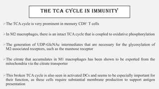 THE TCA CYCLE IN IMMUNITY
➢The TCA cycle is very prominent in memory CD8+ T cells
➢In M2 macrophages, there is an intact TCA cycle that is coupled to oxidative phosphorylation
➢The generation of UDP-GlcNAc intermediates that are necessary for the glycosylation of
M2-associated receptors, such as the mannose receptor
➢The citrate that accumulates in M1 macrophages has been shown to be exported from the
mitochondria via the citrate transporter
➢This broken TCA cycle is also seen in activated DCs and seems to be especially important for
their function, as these cells require substantial membrane production to support antigen
presentation
 