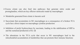 ➢Excess citrate can also feed into pathways that generate nitric oxide and
prostaglandins, which are key effector molecules made by macrophages
➢ Metabolite generated from citrate is itaconic acid
➢ Succcinate that accumulates in M1 macrophages as a consequence of a broken TCA
cycle has a direct impact on macrophage cytokine production
➢ Inhibition of prolyl hydroxylases by succinate, leading to the stabilization of HIF1α
and the sustained production of IL-1β
➢ The alterations in the TCA cycle that occur in M1 macrophages lead to the
mitochondrial accumulation of metabolites that can promote their immune functions
 