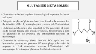 GLUTAMINE METABOLISM
➢Glutamine catabolism regulates immunological responses for burns
and sepsis
➢Adequate supplies of glutamine have been found to be required for
the induction of IL-1 by macrophages in response to LPS stimulation
➢Glutamine metabolism is also important for the generation of nitric
oxide through feeding into arginine synthesis, demonstrating a role
for glutamine in the cytotoxic and antimicrobial functions of
macrophages
➢Glutamine is extensively fluxed into the TCA cycle and the
hexosamine pathway and promotes M2 macrophage polarization in
response to IL-4 stimulation, whereas LPS-stimulated M1
macrophages do not require glutamine for their development
 