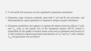 ➢ T cell and B cell responses are also regulated by glutamine metabolism
➢ Glutamine usage increases markedly upon both T cell and B cell activation, and
both populations require glutamine to respond to antigen receptor stimulation
➢ Glutamine metabolism also appears to regulate the balance between effector T cells
and Treg cells, as the genetic loss of the transporter protein ASCT2 (which is
responsible for the uptake of neutral amino acids such as glutamine and leucine) in
T cells resulted in impaired generation and function of TH1 and TH17 cells, whereas
Treg cell generation was not altered
 