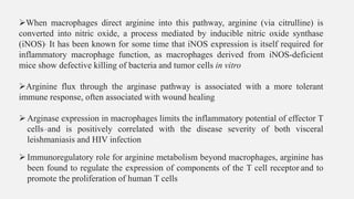 ➢When macrophages direct arginine into this pathway, arginine (via citrulline) is
converted into nitric oxide, a process mediated by inducible nitric oxide synthase
(iNOS). It has been known for some time that iNOS expression is itself required for
inflammatory macrophage function, as macrophages derived from iNOS-deficient
mice show defective killing of bacteria and tumor cells in vitro
➢Arginine flux through the arginase pathway is associated with a more tolerant
immune response, often associated with wound healing
➢Arginase expression in macrophages limits the inflammatory potential of effector T
cells and is positively correlated with the disease severity of both visceral
leishmaniasis and HIV infection
➢Immunoregulatory role for arginine metabolism beyond macrophages, arginine has
been found to regulate the expression of components of the T cell receptor and to
promote the proliferation of human T cells
 