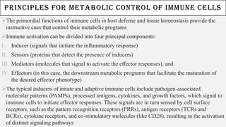 PRINCIPLES FOR METABOLIC CONTROL OF IMMUNE CELLS
➢The primordial functions of immune cells in host defense and tissue homeostasis provide the
instructive cues that control their metabolic programs
➢Immune activation can be divided into four principal components:
I. Inducer (signals that initiate the inflammatory response)
II. Sensors (proteins that detect the presence of inducers)
III. Mediators (molecules that signal to activate the effector responses), and
IV. Effectors (in this case, the downstream metabolic programs that facilitate the maturation of
the desired effector phenotype)
➢The typical inducers of innate and adaptive immune cells include pathogen-associated
molecular patterns (PAMPs), processed antigens, cytokines, and growth factors, which signal to
immune cells to initiate effector responses. These signals are in turn sensed by cell surface
receptors, such as the pattern recognition receptors (PRRs), antigen receptors (TCRs and
BCRs), cytokine receptors, and co-stimulatory molecules (like CD28), resulting in the activation
of distinct signaling pathways
 