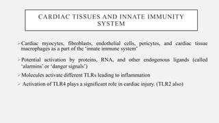 immunometabolism in cardiovascular diseases .pdf