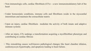 immunometabolism in cardiovascular diseases .pdf