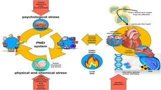 immunometabolism in cardiovascular diseases .pdf