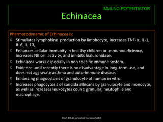 Echinacea 
Pharmacodynamic of Echinacea is: 
o Stimulates lymphokine production by limphocyte, increases TNF-a, IL-1, 
IL-...