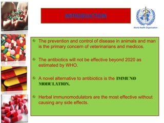The prevention and control of disease in animals and man
is the primary concern of veterinarians and medicos.
The antibiotics will not be effective beyond 2020 as
estimated by WHO.
A novel alternative to antibiotics is the IMMUNO
MODULATION.
Herbal immunomodulators are the most effective without
causing any side effects.
 