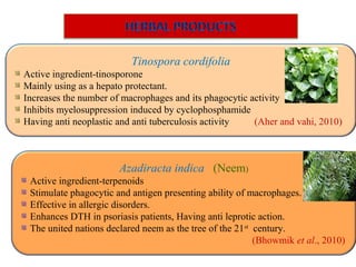 Azadiracta indica (Neem)
Active ingredient-terpenoids
Stimulate phagocytic and antigen presenting ability of macrophages.
Effective in allergic disorders.
Enhances DTH in psoriasis patients, Having anti leprotic action.
The united nations declared neem as the tree of the 21st
century.
(Bhowmik et al., 2010)
Tinospora cordifolia
Active ingredient-tinosporone
Mainly using as a hepato protectant.
Increases the number of macrophages and its phagocytic activity
Inhibits myelosuppression induced by cyclophosphamide
Having anti neoplastic and anti tuberculosis activity (Aher and vahi, 2010)
 