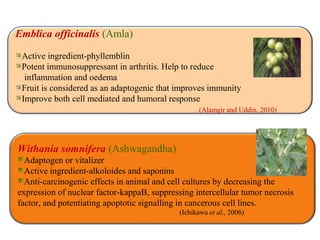 Withania somnifera (Ashwagandha)
Adaptogen or vitalizer
Active ingredient-alkoloides and saponins
Anti-carcinogenic effects in animal and cell cultures by decreasing the
expression of nuclear factor-kappaB, suppressing intercellular tumor necrosis
factor, and potentiating apoptotic signalling in cancerous cell lines.
(Ichikawa et al., 2006)
Emblica officinalis (Amla)
Active ingredient-phyllemblin
Potent immunosuppressant in arthritis. Help to reduce
inflammation and oedema
Fruit is considered as an adaptogenic that improves immunity
Improve both cell mediated and humoral response
(Alamgir and Uddin, 2010)
 