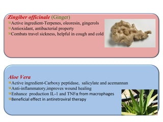 Zingiber officinale (Ginger)
Active ingredient-Terpenes, oleoresin, gingerols
Antioxidant, antibacterial property
Combats travel sickness, helpful in cough and cold
Aloe Vera
Active ingredient-Carboxy peptidase, salicylate and acemannan
Anti-inflammatory,improves wound healing
Enhance production IL-1 and TNFα from macrophages
Beneficial effect in antiretroviral therapy
 