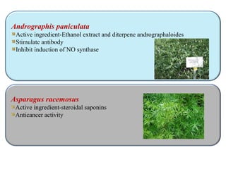 Andrographis paniculata
Active ingredient-Ethanol extract and diterpene andrographaloides
Stimulate antibody
Inhibit induction of NO synthase
Asparagus racemosus
Active ingredient-steroidal saponins
Anticancer activity
 