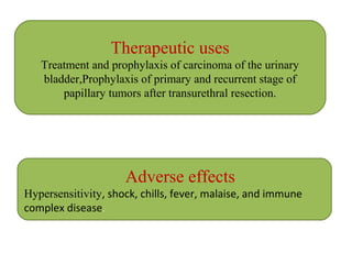 Therapeutic uses
Treatment and prophylaxis of carcinoma of the urinary
bladder,Prophylaxis of primary and recurrent stage of
papillary tumors after transurethral resection.
Adverse effects
Hypersensitivity, shock, chills, fever, malaise, and immune
complex disease.
 