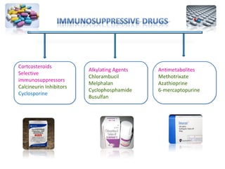 Alkylating Agents
Chlorambucil
Melphalan
Cyclophosphamide
Busulfan
Alkylating Agents
Chlorambucil
Melphalan
Cyclophosphamide
Busulfan
Antimetabolites
Methotrixate
Azathioprine
6-mercaptopurine
Antimetabolites
Methotrixate
Azathioprine
6-mercaptopurine
Cortcosteroids
Selective
immunosuppressors
Calcineurin Inhibitors
Cyclosporine
Cortcosteroids
Selective
immunosuppressors
Calcineurin Inhibitors
Cyclosporine
 