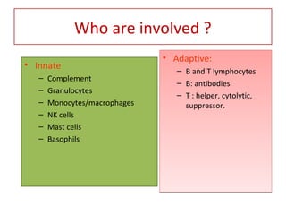 Who are involved ?
• Innate
– Complement
– Granulocytes
– Monocytes/macrophages
– NK cells
– Mast cells
– Basophils
• Adaptive:
– B and T lymphocytes
– B: antibodies
– T : helper, cytolytic,
suppressor.
• Adaptive:
– B and T lymphocytes
– B: antibodies
– T : helper, cytolytic,
suppressor.
 