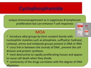 Cyclophosphamide
unique immunosuppressant as it suppresses B-lymphocyte
proliferation but can enhance T-cell responses
MOA
 introduce alkyl groups by form covalent bonds with
nucleophilic moieties such as phosphate, sulfhydryl, hydroxyl,
carboxyl, amino and imidazole groups present in DNA or RNA
 cross link in between the strands of DNA , prevent the cell
division and protein synthesis.
 most destructive to rapidly proliferating tissues and appear
to cause cell death when they divide
 cytotoxicity of the drugs correlates with the degree of DNA
alkylation.
 