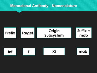 Inf Li Xi mab
Prefix Target
Origin
Subsystem
Suffix =
mab
 