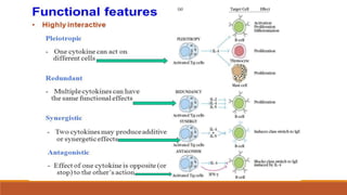 General Immune System Modulators Immunomodulators | PPTX