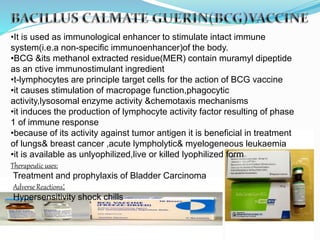 •It is used as immunological enhancer to stimulate intact immune
system(i.e.a non-specific immunoenhancer)of the body.
•BCG &its methanol extracted residue(MER) contain muramyl dipeptide
as an ctive immunostimulant ingredient
•t-lymphocytes are principle target cells for the action of BCG vaccine
•it causes stimulation of macropage function,phagocytic
activity,lysosomal enzyme activity &chemotaxis mechanisms
•it induces the production of lymphocyte activity factor resulting of phase
1 of immune response
•because of its activity against tumor antigen it is beneficial in treatment
of lungs& breast cancer ,acute lympholytic& myelogeneous leukaemia
•it is available as unlyophilized,live or killed lyophilized form
Therapeutic uses:
Treatment and prophylaxis of Bladder Carcinoma
Adverse Reactions:
Hypersensitivity shock chills
 